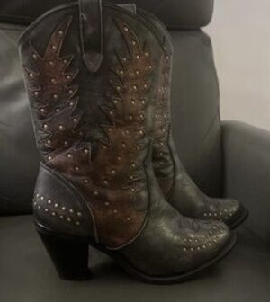 Beautiful Winter Western Boots
